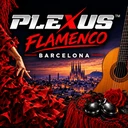 Flamenco Barcelona