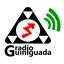 Radio Guiniguada