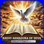 Radio Armadura de Deus