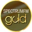 Spectum Gold Radio